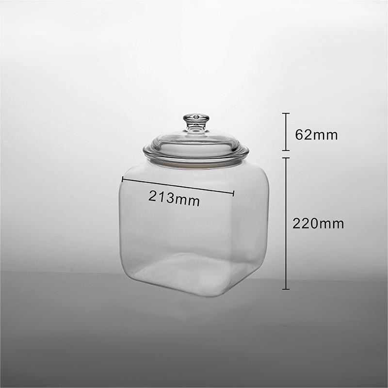 Ecobox SPH-FB250 airtight bulk food cereal jar container